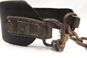 Verga kakla siksna. 2. Kakla siksna. 1 Verga kakla siksna